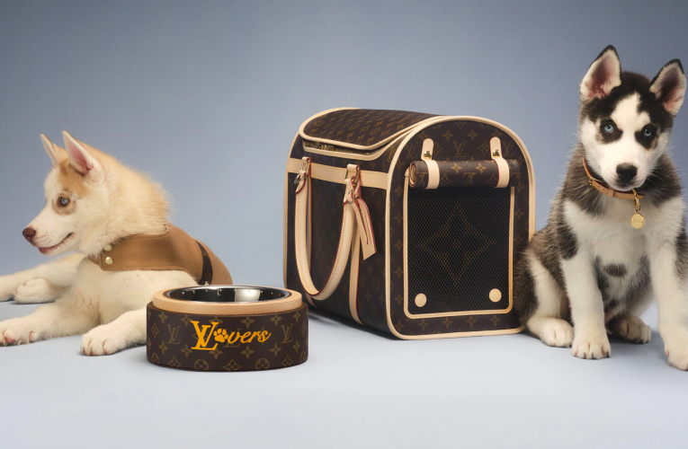 Louis Vuitton Malle Chien Carrying Dog Sleek Trunk M10063: A Statement of Luxury for Your Furry Friend