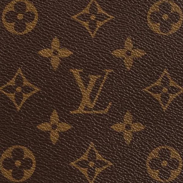 Louis Vuitton NEVERFULL PM M41245 - Image 4