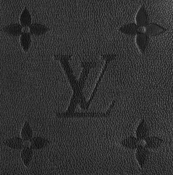 Louis Vuitton PETIT PALAIS M58916 - Image 4